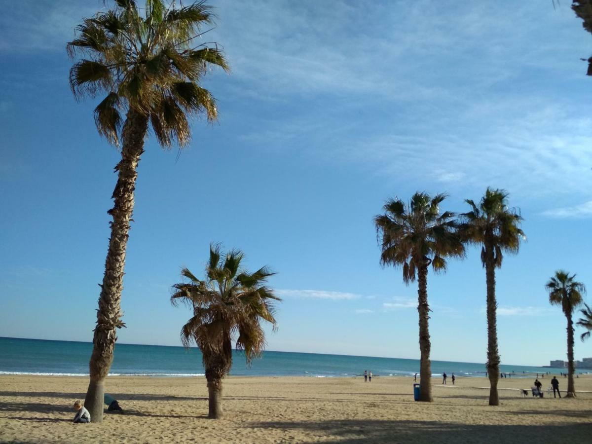 Apartment Sunny La Mata La Mata  Zewnętrze zdjęcie
